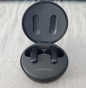 LG Tone FP-5 TWS Earbuds ANC